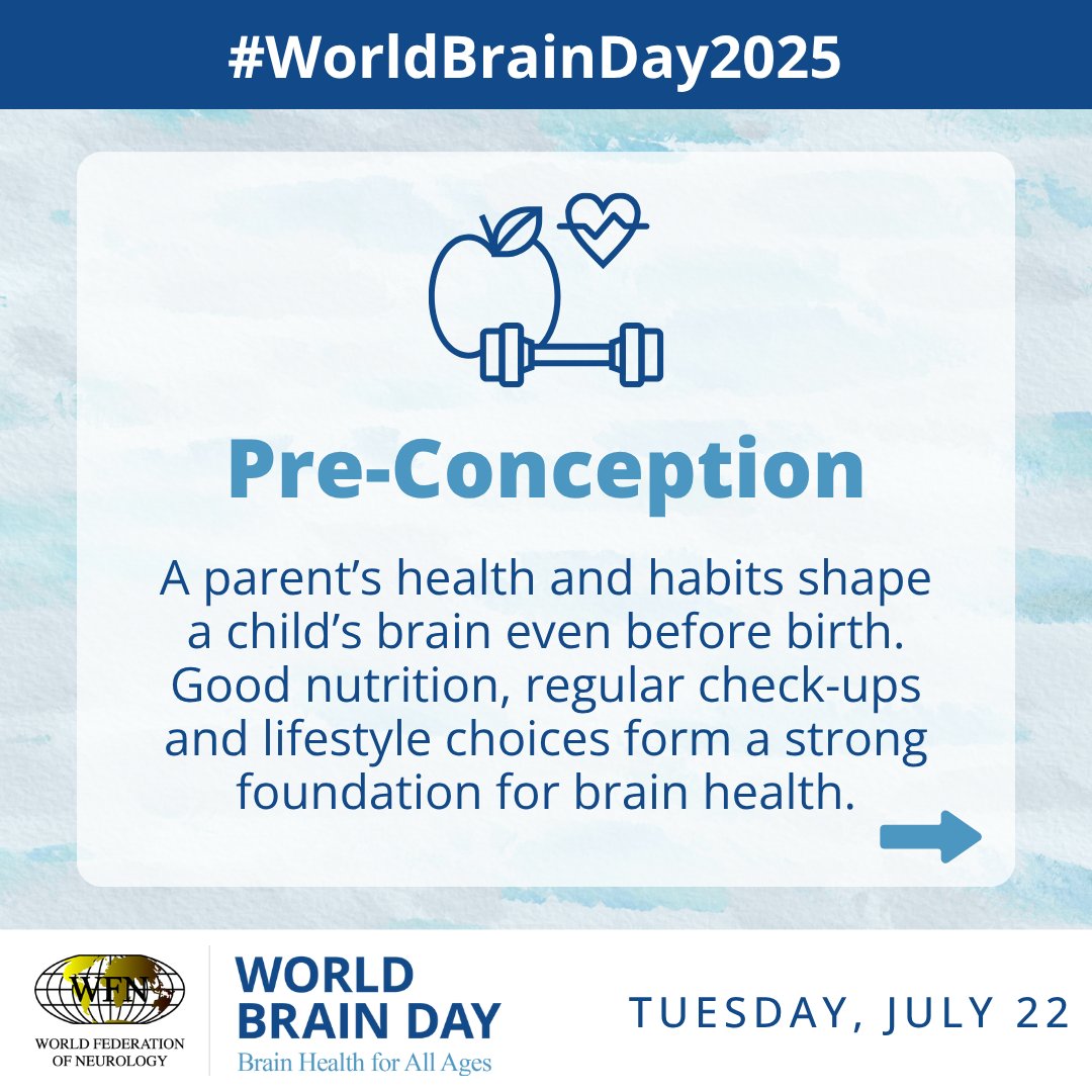 wfneurology's tweet image. Brain health isn’t just something we think about later in life—it begins before birth and matters at every stage.
From pre-conception through aging adulthood, the choices we make and the care we receive can shape lifelong brain wellness.
Swipe through to see how brain health…