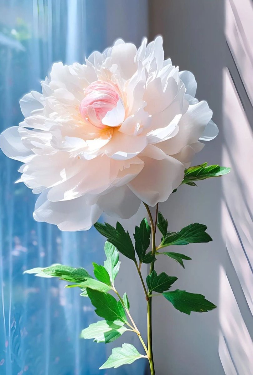 Beautiful 

(📷 Pinterest)