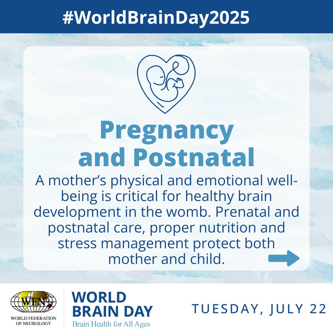 wfneurology's tweet image. Brain health isn’t just something we think about later in life—it begins before birth and matters at every stage.
From pre-conception through aging adulthood, the choices we make and the care we receive can shape lifelong brain wellness.
Swipe through to see how brain health…