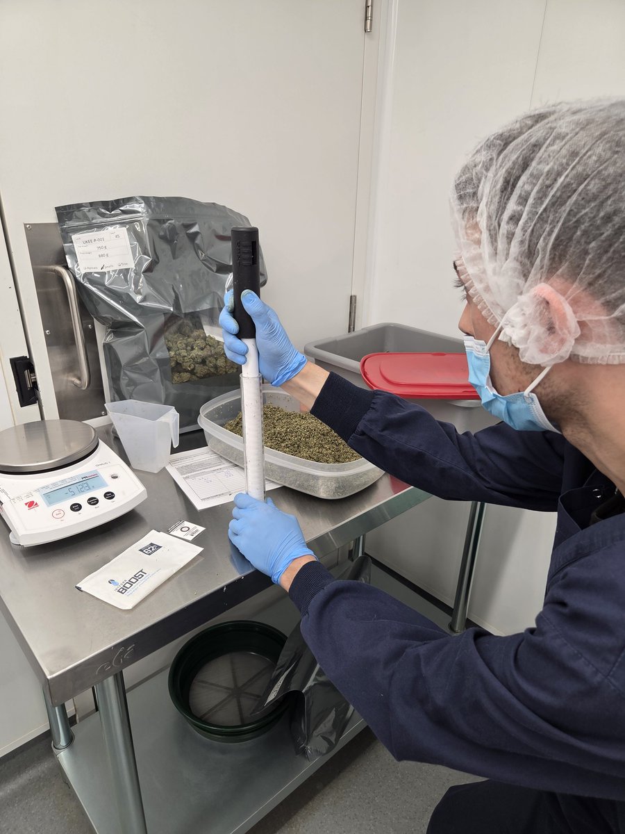 Measuring the compression rate of the new 17% THC Ukee straight cut pre rolls. Not all flower should be rolled the same. Each should have a specific diameter filter and paper tension rate.
Respect the flower. Respect the roll.✊️
#craftcannabis