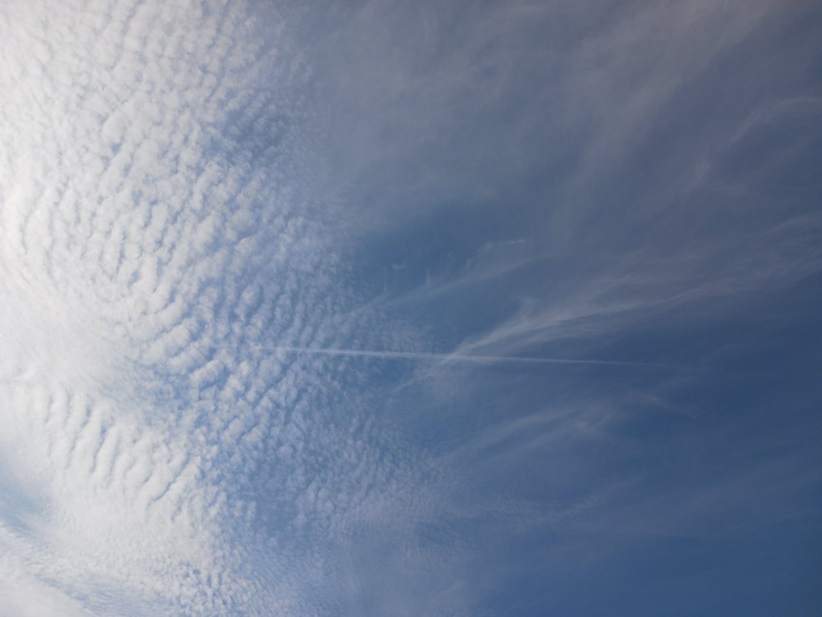 ImagesCoast's tweet image. "Planes from the Black Sabbath concert start spraying as they reach North America. The black Sabbath concert was just an excuse for more spraying."
Airlines spraying chemicals on unsuspecting civilians. July 6th 2025 #airlines #chemtrails #BlackSabbath