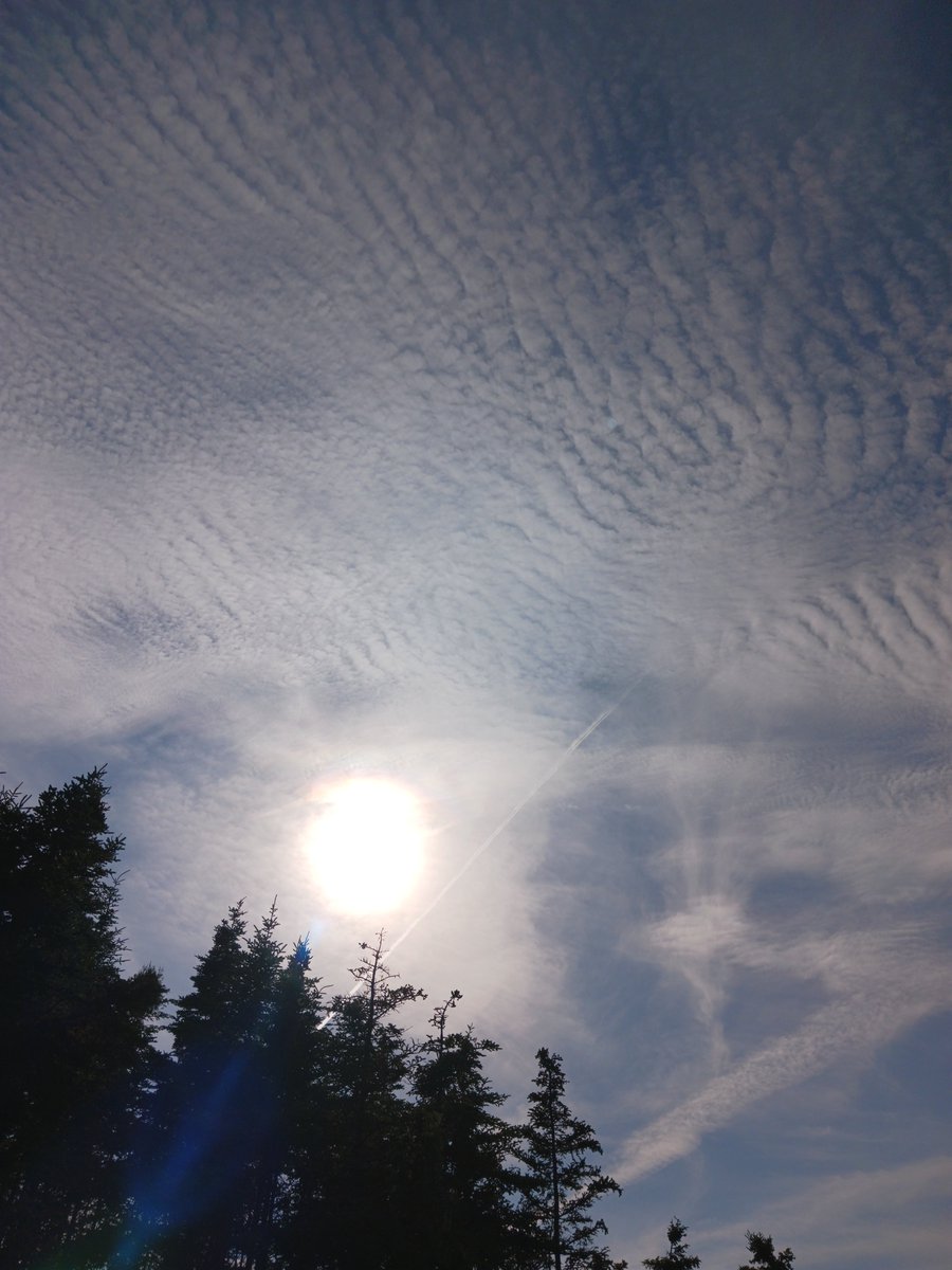 ImagesCoast's tweet image. "Planes from the Black Sabbath concert start spraying as they reach North America. The black Sabbath concert was just an excuse for more spraying."
Airlines spraying chemicals on unsuspecting civilians. July 6th 2025 #airlines #chemtrails #BlackSabbath