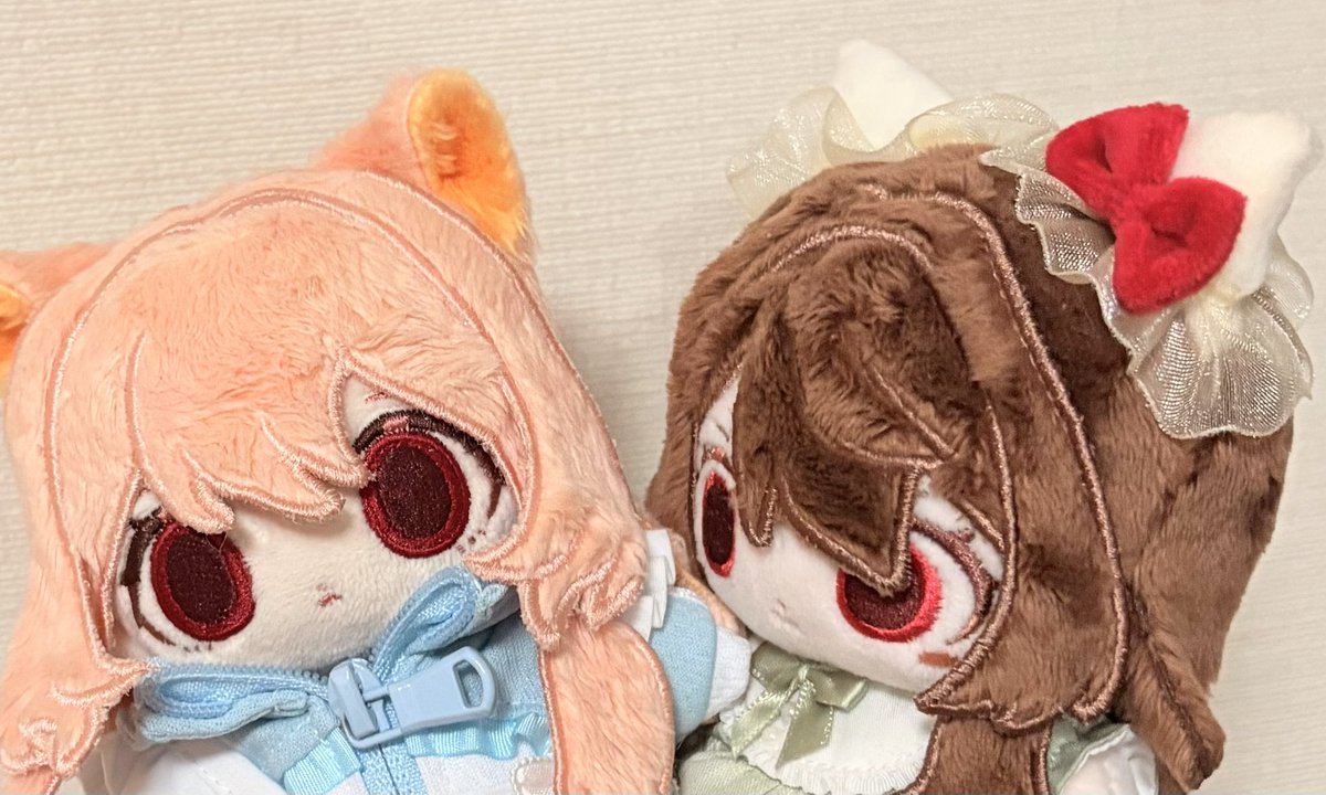 g194544's tweet image. 先輩にガンをつけるメルルとわりとマジでどうでもいいと思ってるにゃんこ
