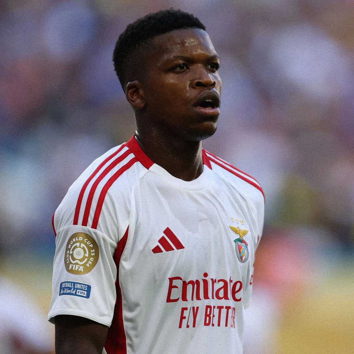 benficastat's tweet photo. THREAD | Análise a Enzo Barrenechea 🇦🇷 com comparação aos titulares do meio campo do Benfica na época passada https://t.co/jpRpaTaVwq