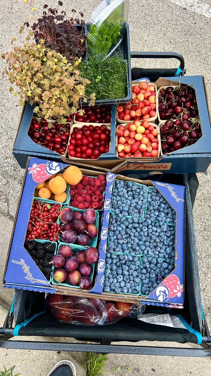 My skincare routine…