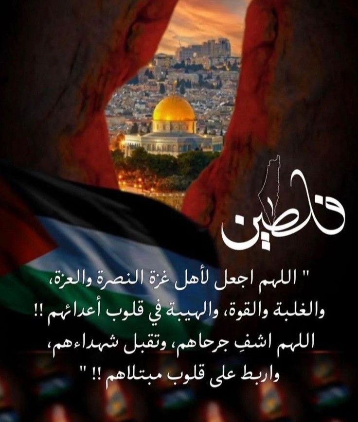 TAREK tweet media