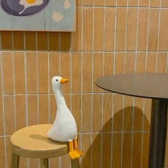 قاعده مستنيه ليالي يناير البارده :