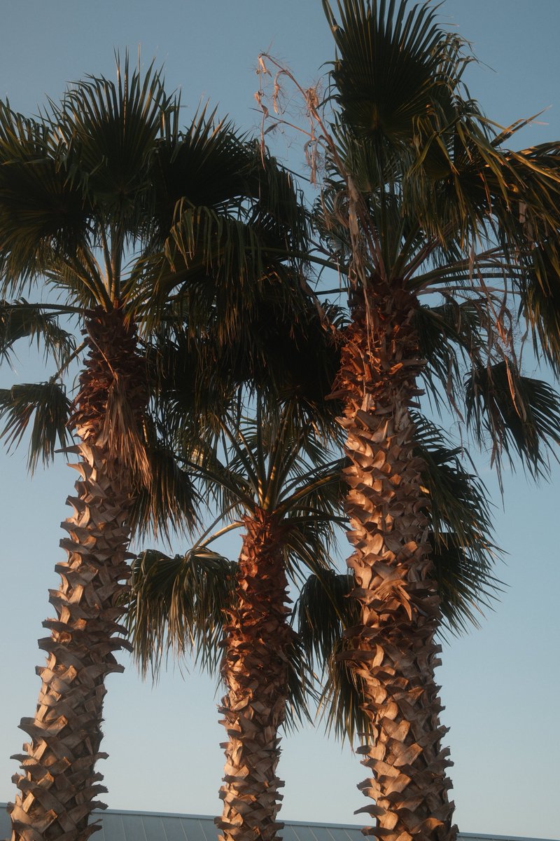 LandmanLife's tweet image. Good morning #EFT, donβt forget to drink 20 beers today to get oil prices out of the $60s