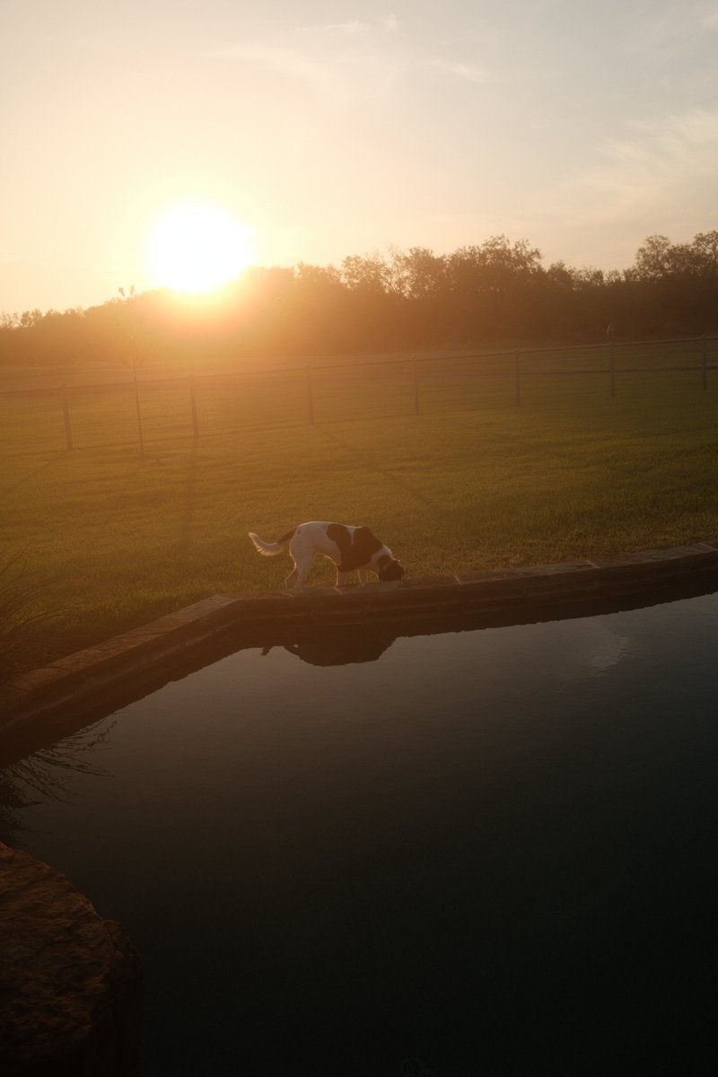 LandmanLife's tweet image. Good morning #EFT, donβt forget to drink 20 beers today to get oil prices out of the $60s