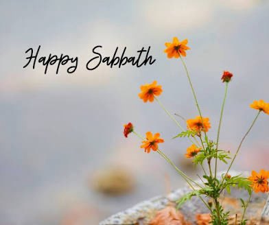 shilohsda's tweet image. #HappySabbath #SeventhDay #Rest #Sabbath #Blessings #Peace #Joy #Love #Grace #Mercy #Worship #SafelyThroughAnotherWeek #Grateful #OhDayOfRestAndGladness #PraiseGodFromWhomAllBlessingsFlow