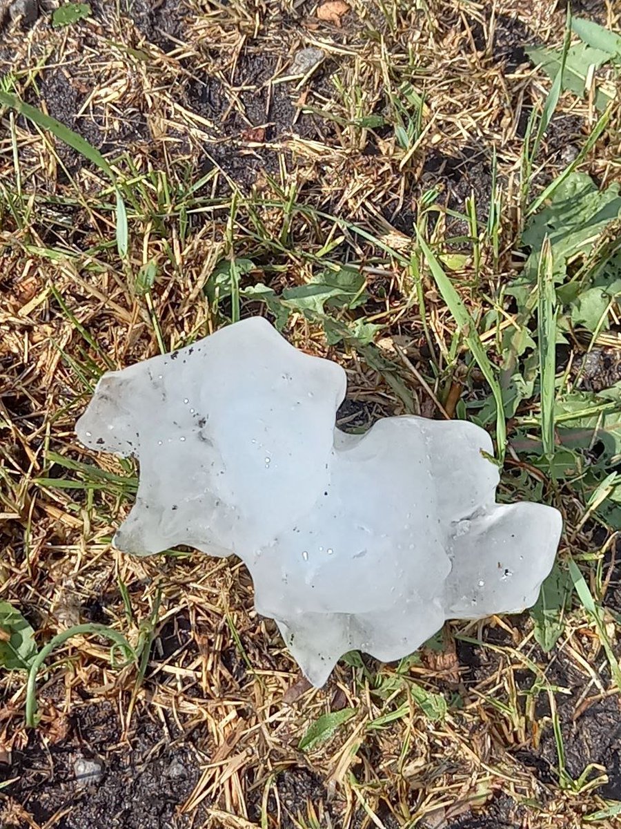 WeatherSarov1's tweet image. Large hail in Novooskolsky District, Belgorod oblast, Russia, July 19.