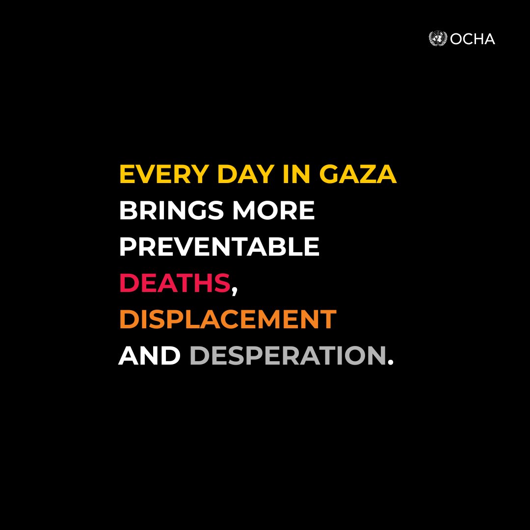 ocharomena's tweet image. The continued onslaught and mass deprivation of people in #Gaza are being normalized. Every day brings more preventable deaths, displacement and desperation.
More:
linkedin.com/feed/update/ur…
#ActforHumanity #CeasefireNow