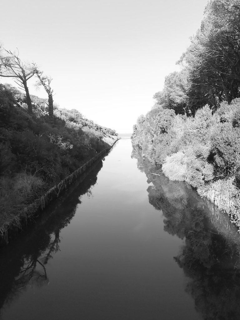 Taken yesterday morning in a very nice place near home 
#photooftheday