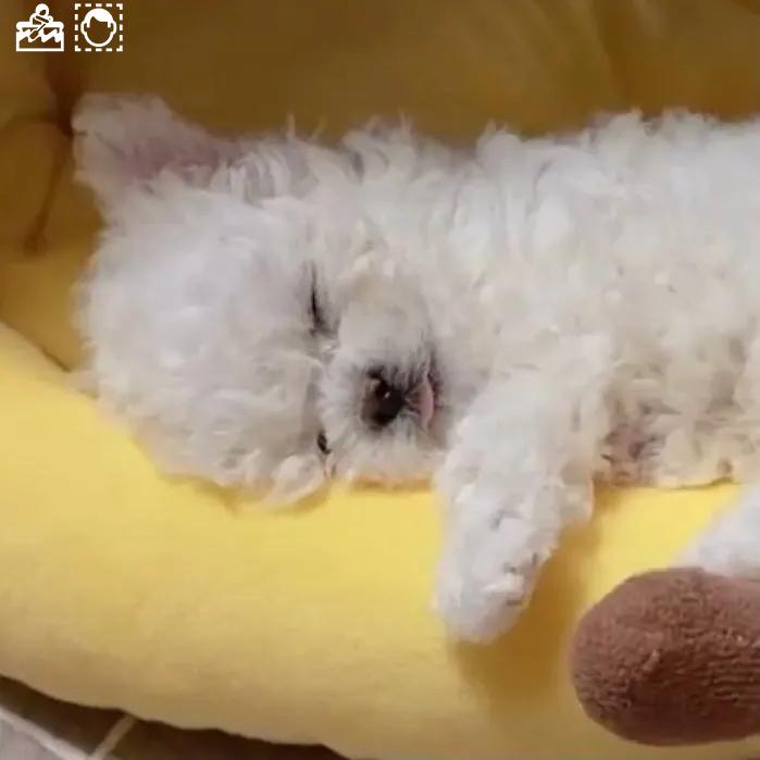 I wish someone the lies we tell ourselves, but I still keep hoping.🚢🍛