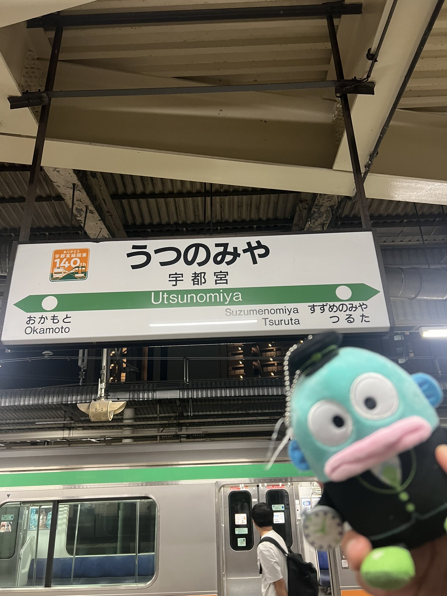 ヨッシー on X: 