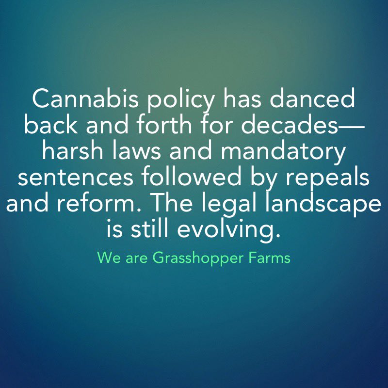 willwbowden's tweet image. Cannabis policy has danced back and forth for decades—harsh laws and mandatory sentences followed by repeals and reform. The legal landscape is still evolving. #CannabisHistory #DrugPolicyReform

We are Grasshopper Farms