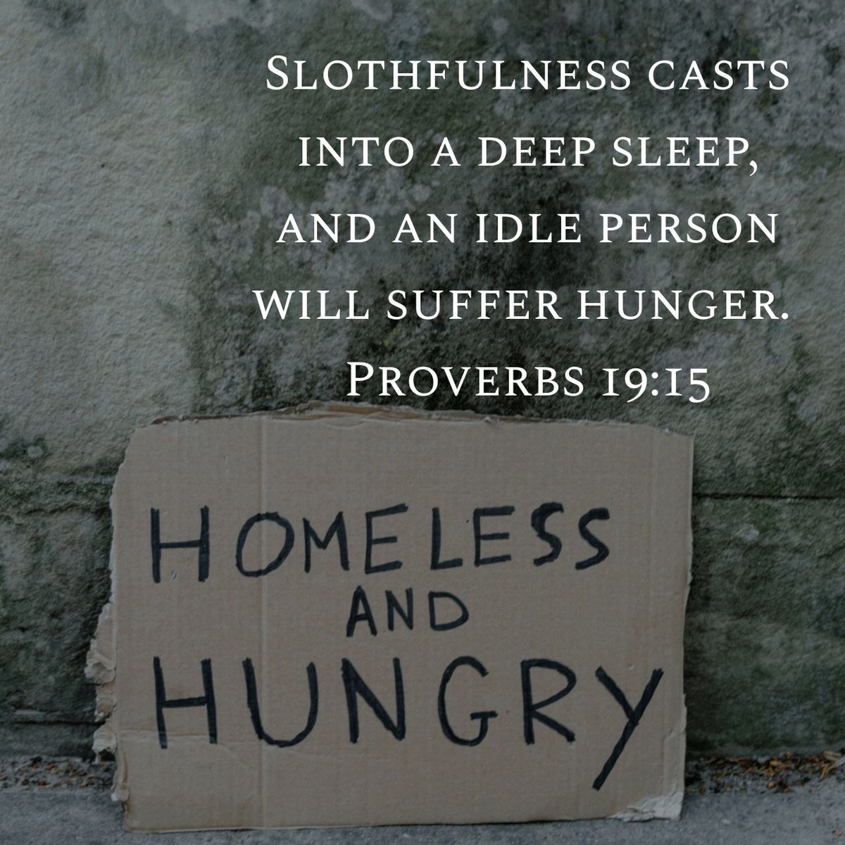 WmHillJr's tweet image. Daily Proverb (7.19.2025) 📖 
#dailyproverb #proverbs #wisdom #bible