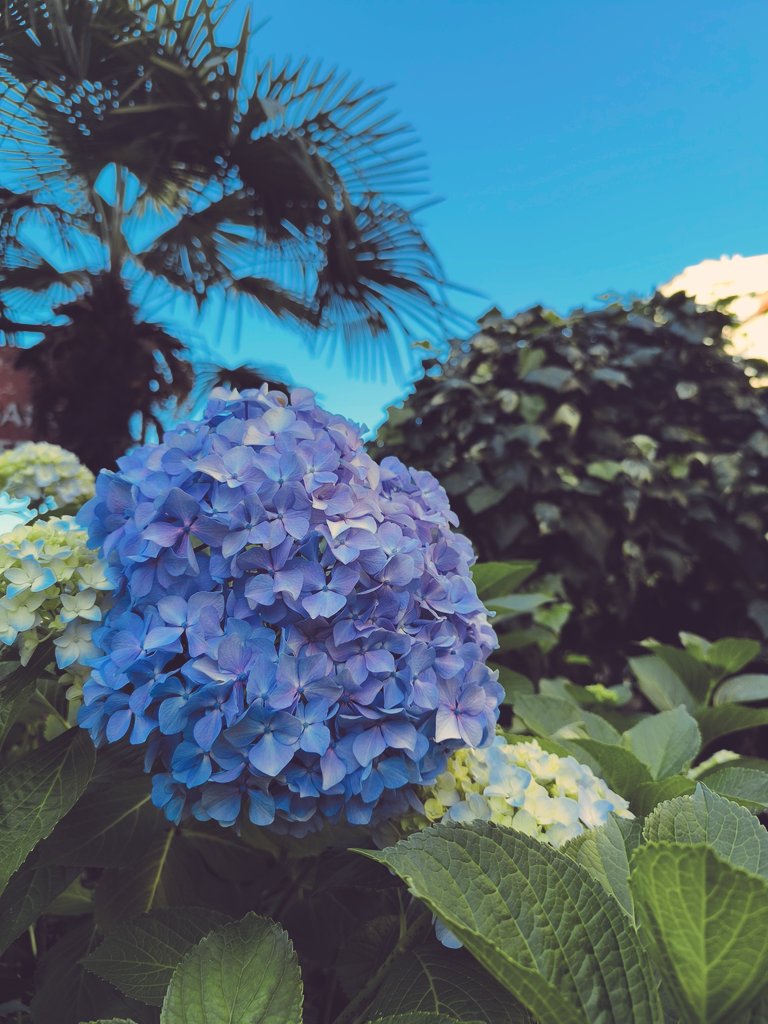 Umutla yürüyen bir huzur arayışı...