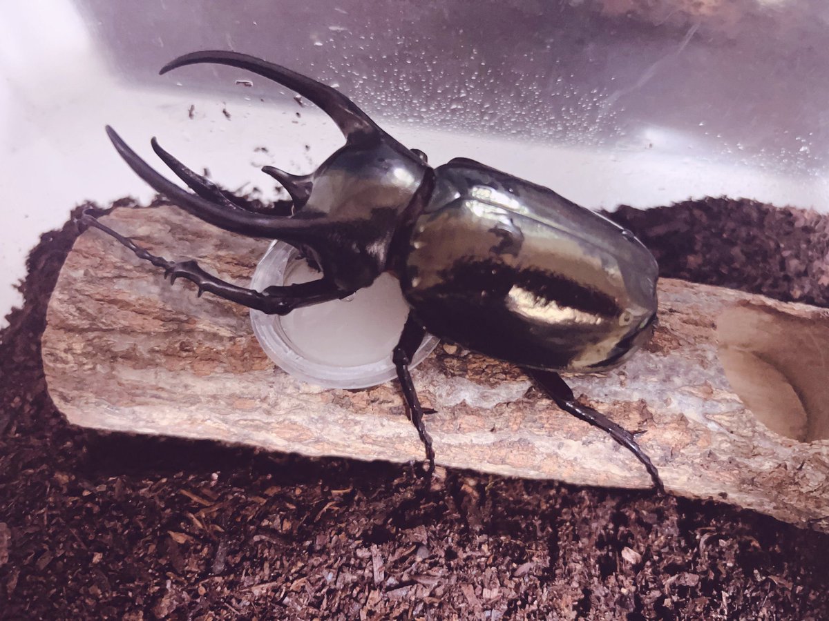 さっちゃん🦈🎀 tweet media