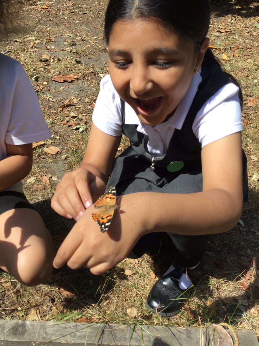 Dahl class released their butterflies today, some of them didn’t want to leave! #Welovesouthcamberley