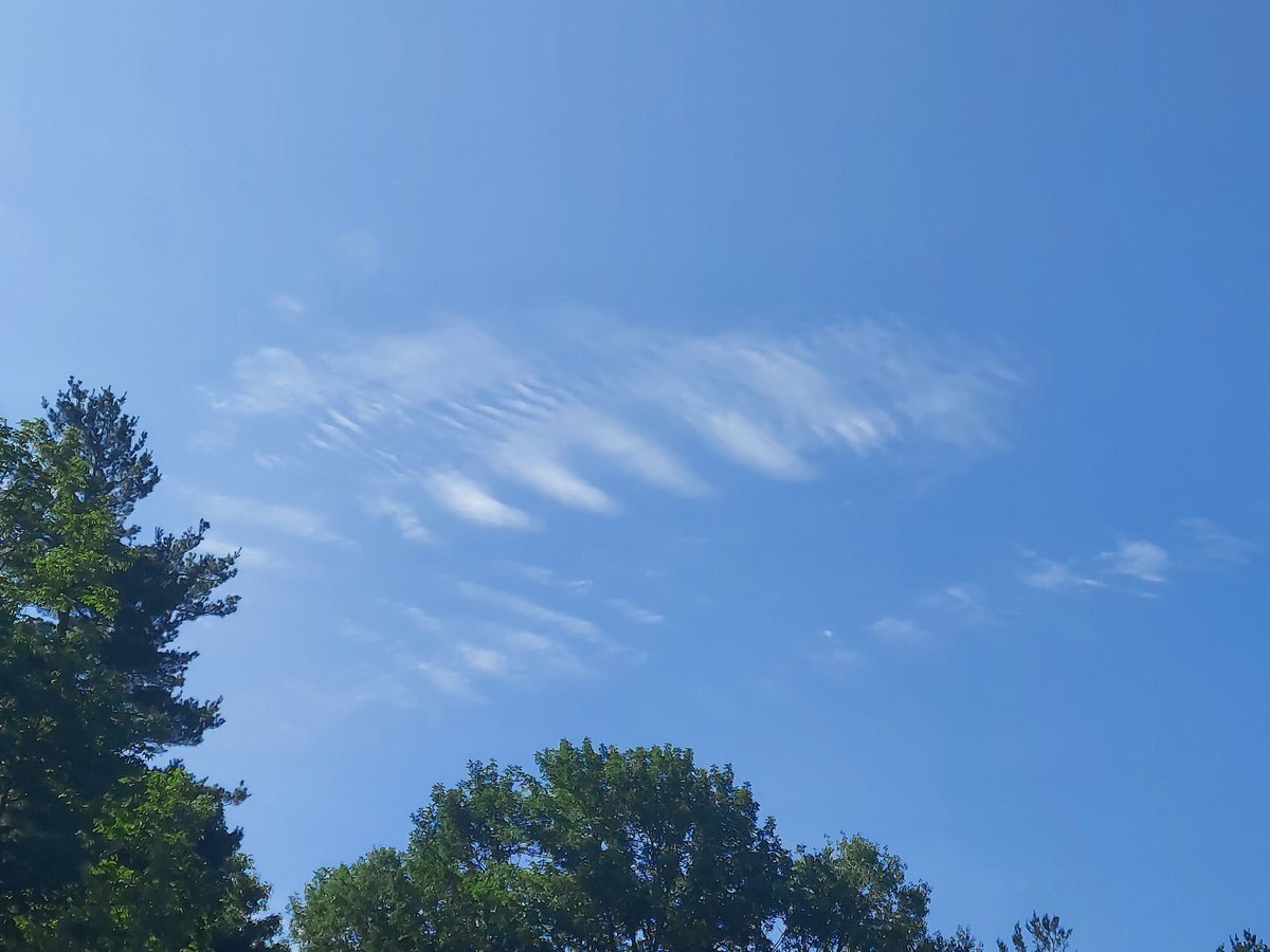 PanicMike13's tweet image. My view from western Massachusetts