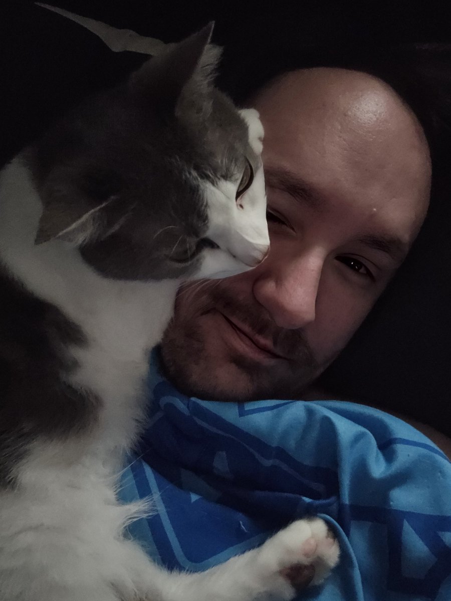 ZombieOpsCenter's tweet image. Good morning, everyone! Reba is either loving me or trying to smother me 😹