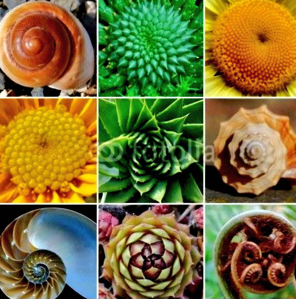 shivgangal_ifs's tweet image. "The harmony of natural law reveals an intelligence of such superiority that, compared with it, all the systematic thinking and acting of human beings is an utterly insignificant reflection." - Albert Einstein.
Do you believe that there's a higher intelligence and purposeful…