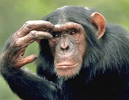shivgangal_ifs's tweet image. "The harmony of natural law reveals an intelligence of such superiority that, compared with it, all the systematic thinking and acting of human beings is an utterly insignificant reflection." - Albert Einstein.
Do you believe that there's a higher intelligence and purposeful…
