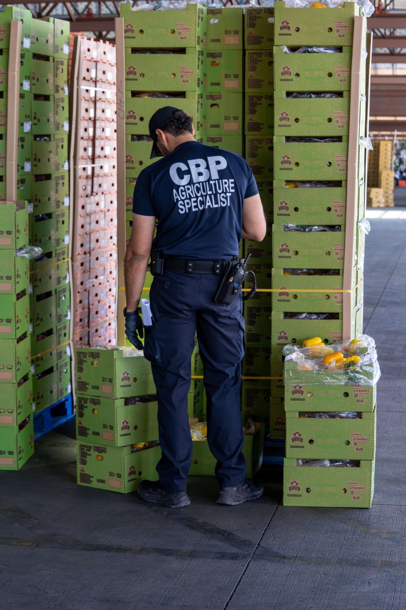 OFOEAC's tweet image. Nearly 11,000 companies participate in #CTPAT. Become a trusted trade partner and strengthen your global operations. 🇺🇸🌎
Start here: go.dhs.gov/wRv