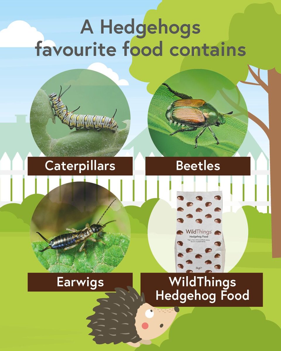 WildThings tweet media