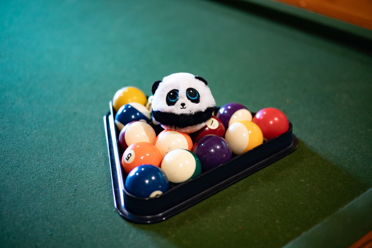 TyInc's tweet image. It's pool time! 🏊♂️
Different kind of pool... but still Beanie Bouncers can make it fun to play!