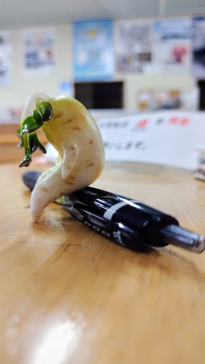 iwasaki_mokei's tweet image. 座らせてあげてください。
ほんの少し、がんばりすぎた大根さんなんです。
只今、座ってのんびり販売中です♪
#食品サンプル #サンプルビレッジいわさき