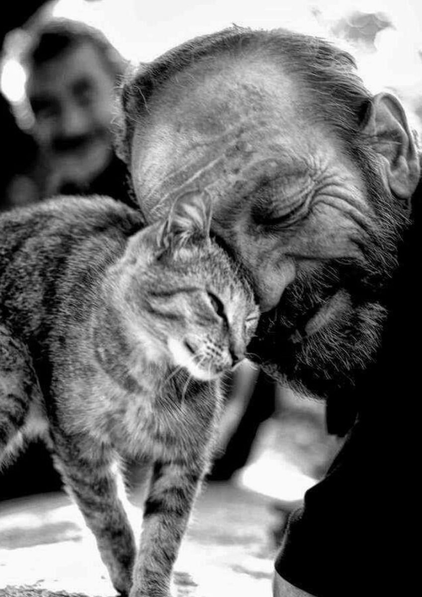#günakşamda

Merhâmeti olmayan kalpten korkarım, 
O yüzden hep duâmdır; 
Merhâmeti olana denk düşelim…✍️

Cahit Zarifoğlu