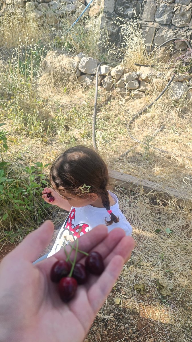 "Doğa, Allah'ın kudretinin aynasıdır. Ona bakan, yaratanı görmeli;çiçeğe bakan, sanatkârı düşünmelidir."
-İmam Gazâlî: