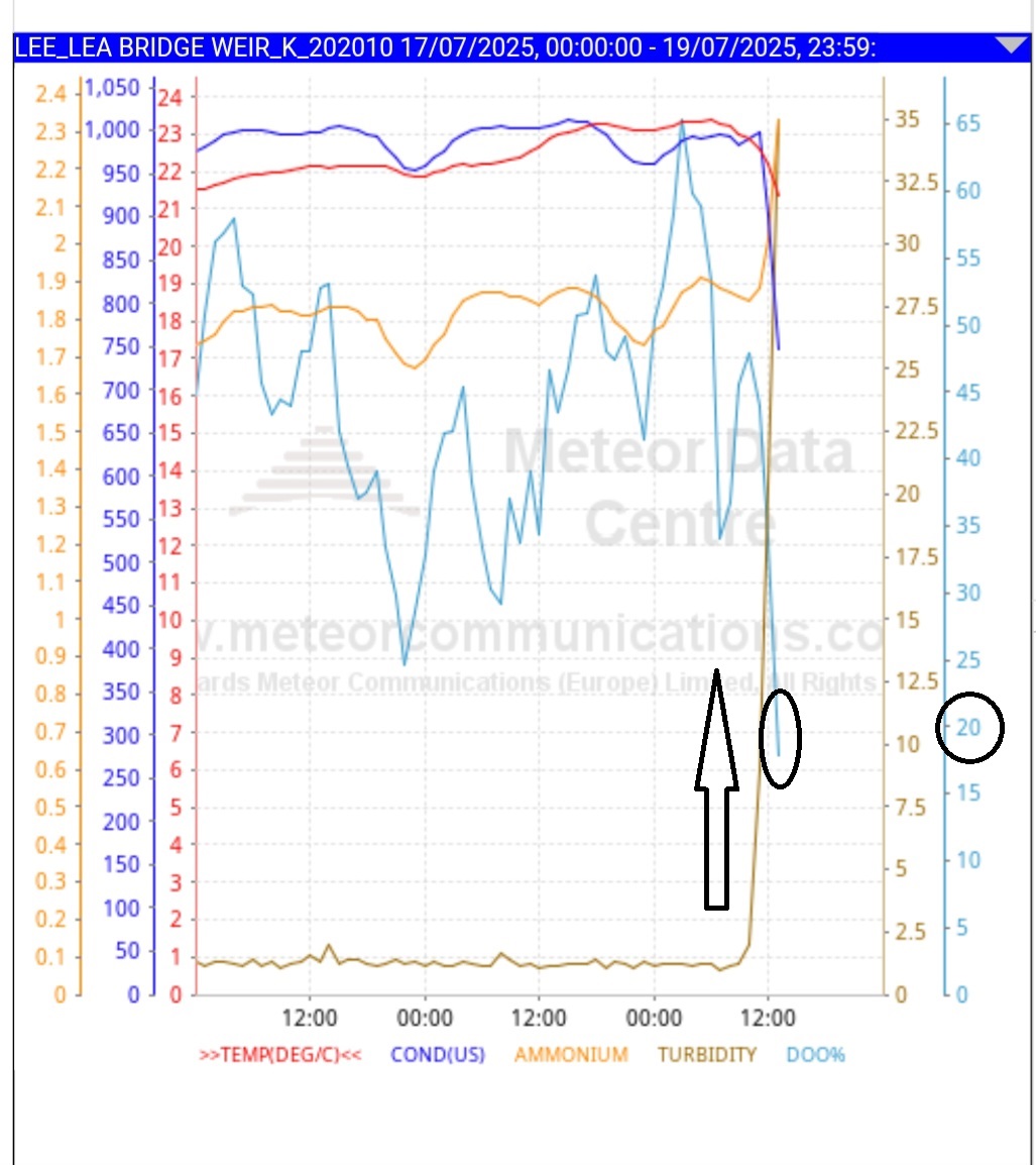 The River Lea is looking vulnerable at the moment. 
Dissolved oxygen above Lea Bridge Weir has dropped below 20%.
The rain has washed in accumulated muck from 80 square miles of paved areas. It churns up pollution in the silt &amp; turns the water cloudy so plants produce less O2.