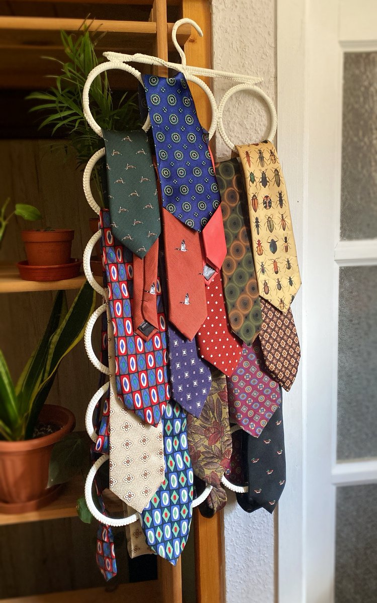 organized my girlfriend's ties for her because I am a very good boy