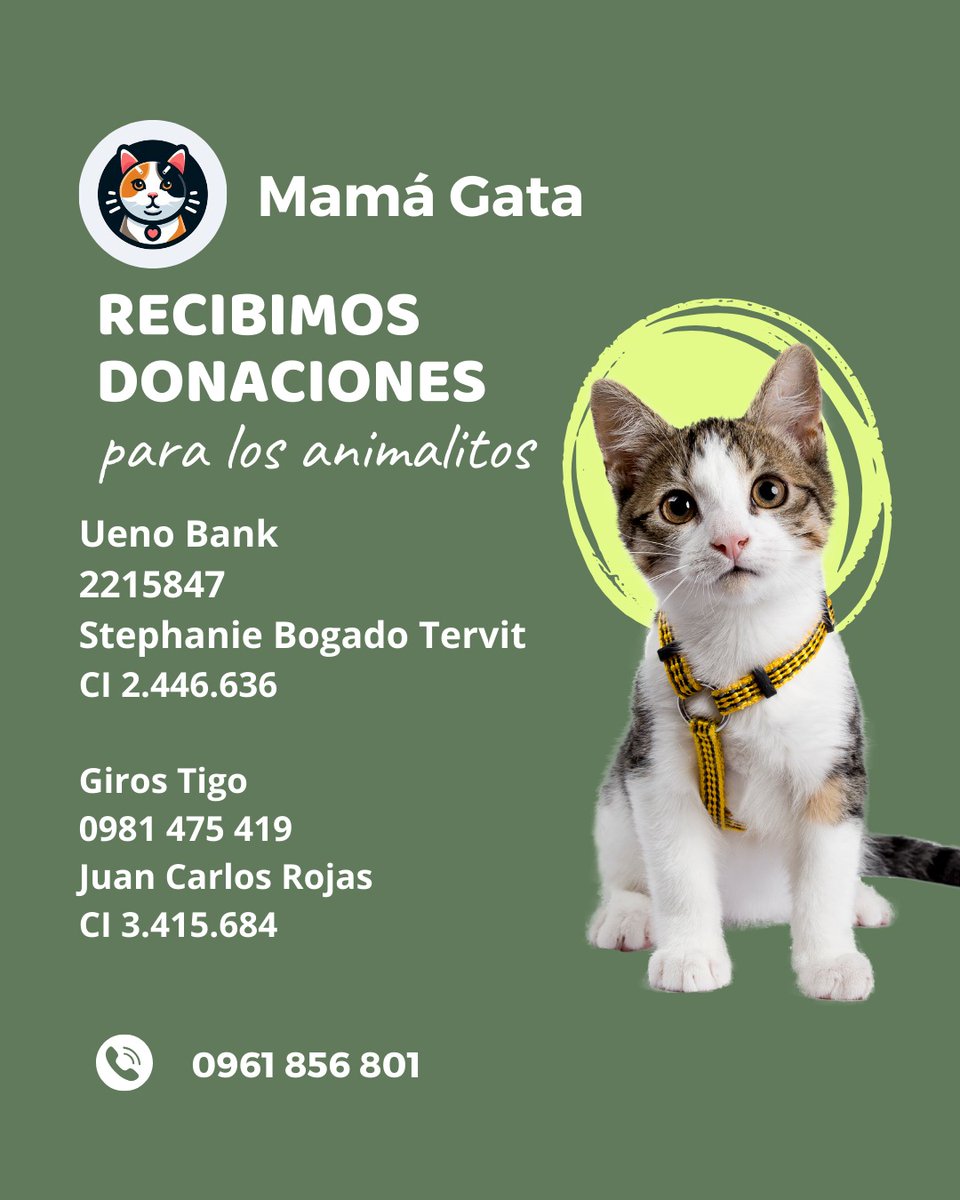 Hola tíoz... Cualquier monto suma y sirve para cerrar la cuenta de Bacco ahora Calvin.. tiene 3 semanas de acumulación.. cualquier 5mil sirve! 🙏🥹 Con el todo se cumplió y ya fue adoptado pero falta liquidar su deuda.. 🙏🥹 así tengo espacio para seguir ayudando..