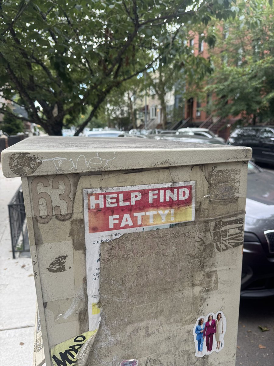 theeRicoTaquito's tweet image. Omg they’re looking for you