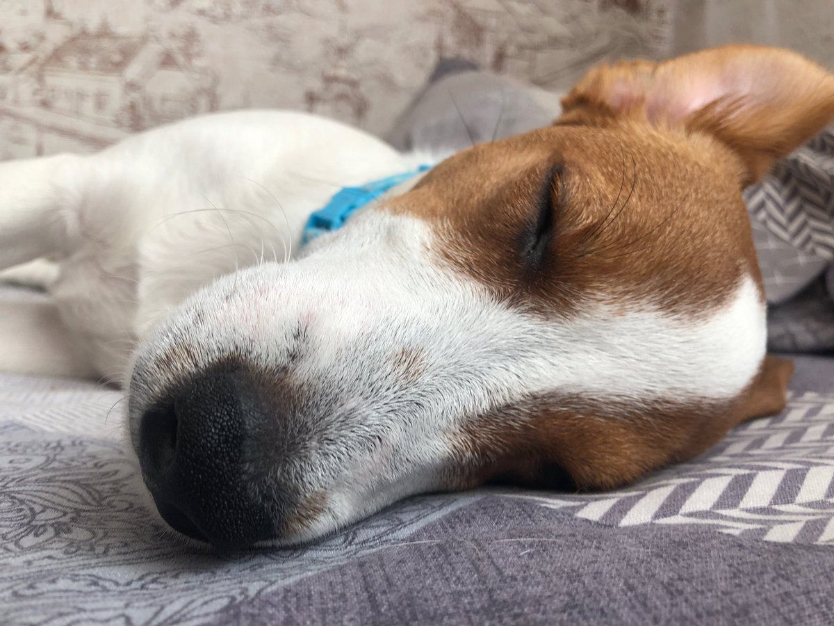 катя чмоша tweet media