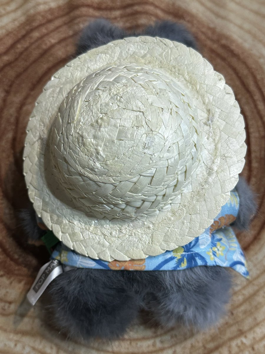 ouka9999's tweet image. ルブブにセリアで売っていた
ヌイグルミの服を着せてみました。
アロハは少し小さいですが、麦わら帽子
やショルダーバッグ、団扇などは
ジャストサイズです。
#ルルブ #セリア #ぬいぐるみ