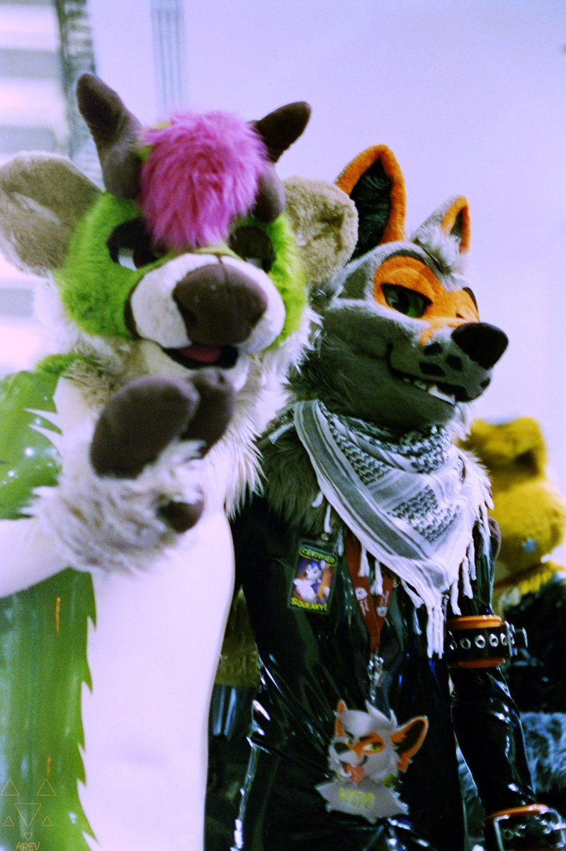 Nazokaos's tweet image. Shiny ✨ and rise with multiple colours :3
#SqueakySaturday
📸: @theKrevFox_