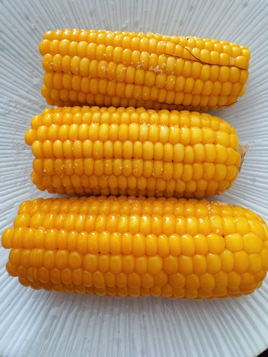 Lunea_in_HR's tweet image. Porumb fiert, salata de roșii cât o inimă, pepene roșu cu telemea de oaie, ciorbă de păstăi acrită cu aguridă, castraveți covăsiți, păstăi/cartofi noi cu usturoi … desigur, ador vara. 😍#perotund