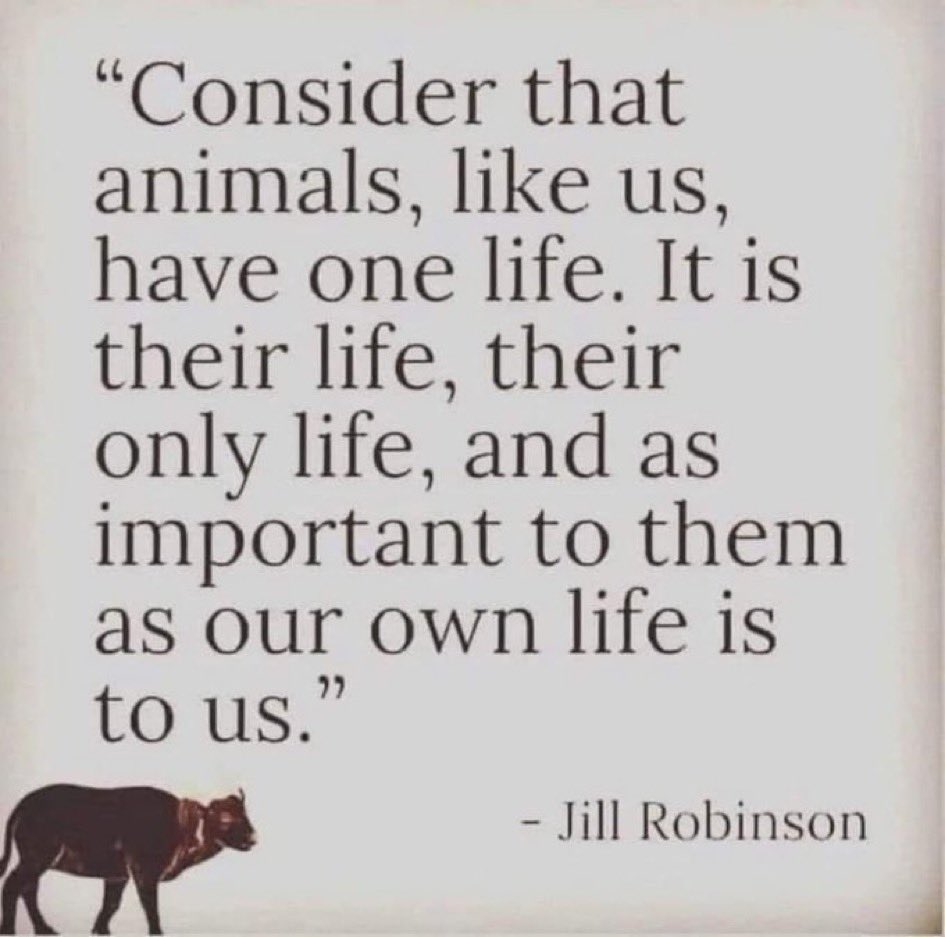 Earthbasedsoul's tweet image. In a solarpunk future, respect will flow through all living beings.
Their one life will be sacred, just like ours. 🌱🐾
#Solarpunk #Compassion
