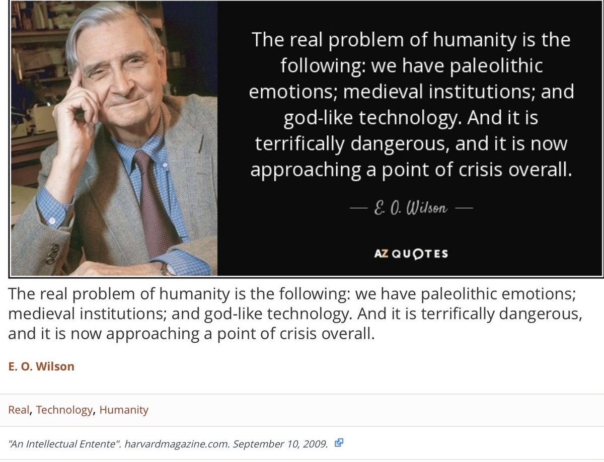 Martha LA Fineman (@marthalafineman) on Twitter photo 
