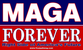 AZAMERICAFIRST's tweet photo. @RubenGallego Vote Andy Biggs for Arizona Governor! Let's get these cheating Dems like Gallego out of office! #MakeArizonaGreatAgain #ArizonaFirst #ToBigToRig https://t.co/ouQxcdbItu