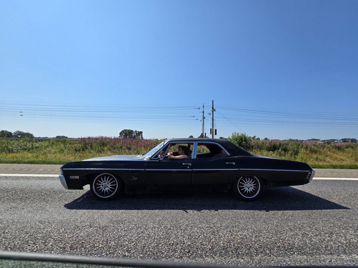 Tony Williams ツ 🏳️🌈 tweet media