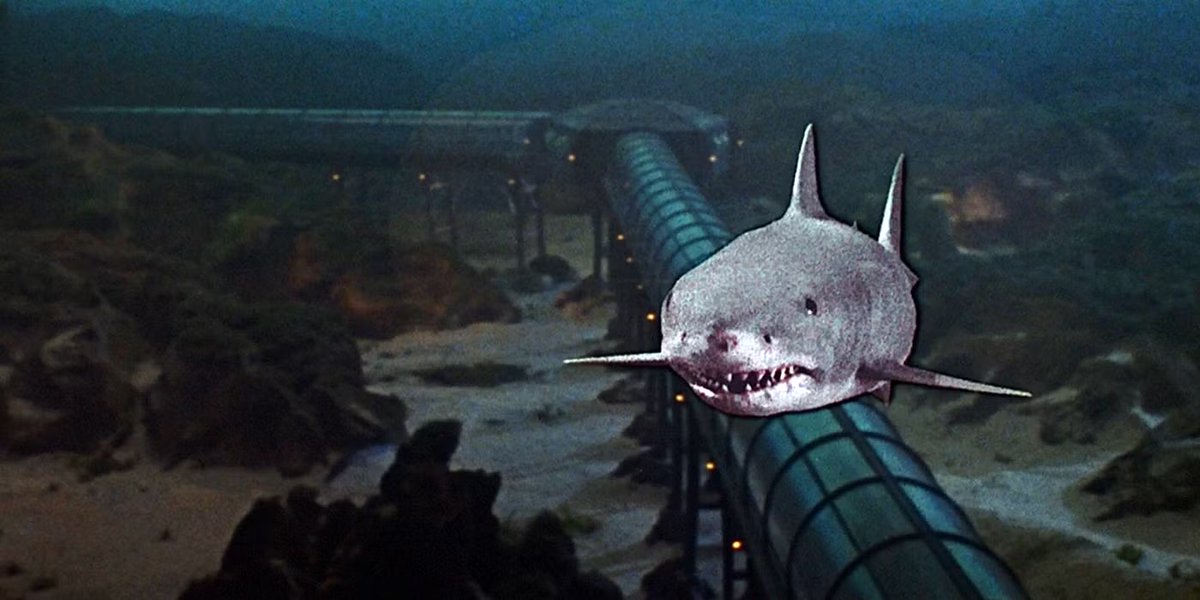 TombDracula's tweet image. Jaws 3-D rules! I don’t know what everyone’s problem is, it’s an underrated masterpiece in cinematic history!!