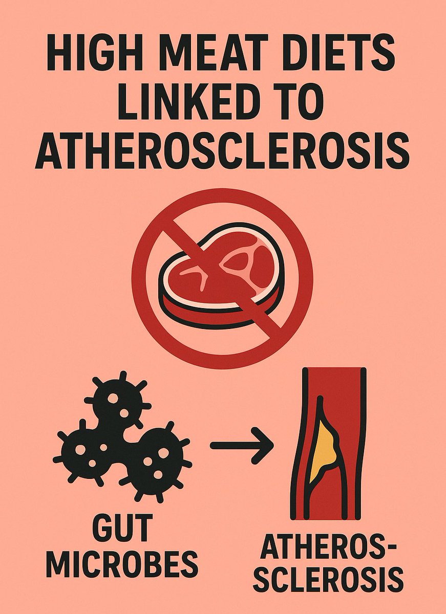 Bad news for carnivore / high meat / high protein / gym bro diets leading with protein supplementation and lacking fiber ⤵️

New study published this past Wednesday July 16th in Nature finds that ImP, made by gut microbes, is associated with atherosclerosis in mice and two