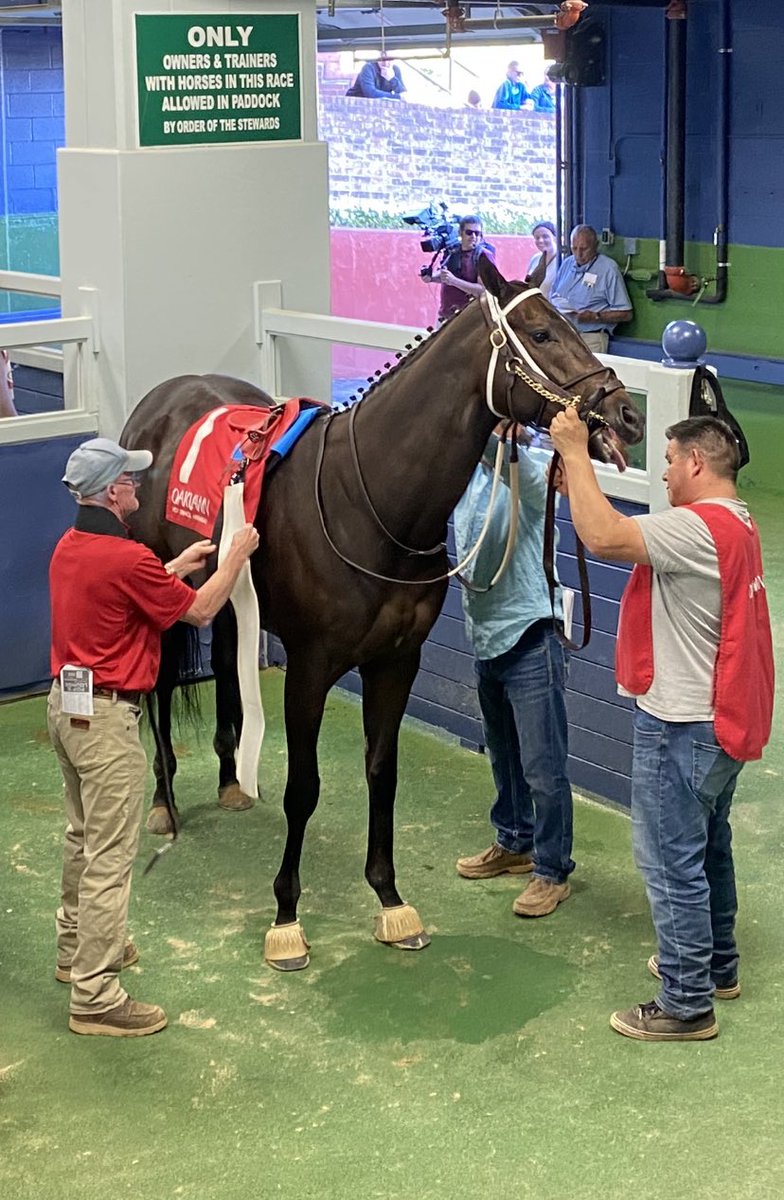 Patrick Mooney (@patrickmoondog) on Twitter photo I still believe, even when he is not running β¦<a href="/OaklawnRacing/">Oaklawn Hot Springs</a>β©. Fast is fast. #Skelly I still believe, even when he is not running β¦<a href="/OaklawnRacing/">Oaklawn Hot Springs</a>β©. Fast is fast. #Skelly