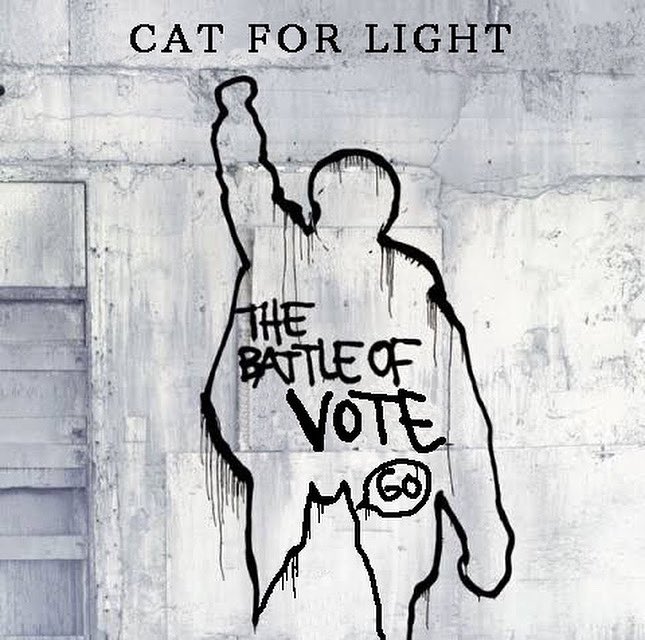 CatforLight's tweet image. ずっと怒ってるのも疲れますが、明日は投票へ🗳️
Vote Matchは難しい質問は飛ばしてもOKなので是非やってみてください♪
#catforlight #参議院議員選挙2025